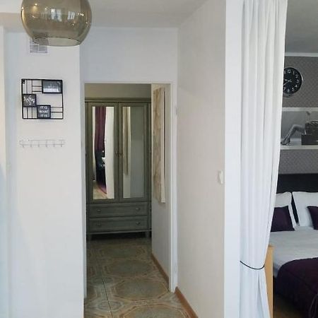 Apartament Zamosc Fiolet מראה חיצוני תמונה