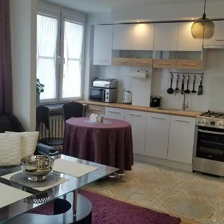 Apartament Zamosc Fiolet מראה חיצוני תמונה