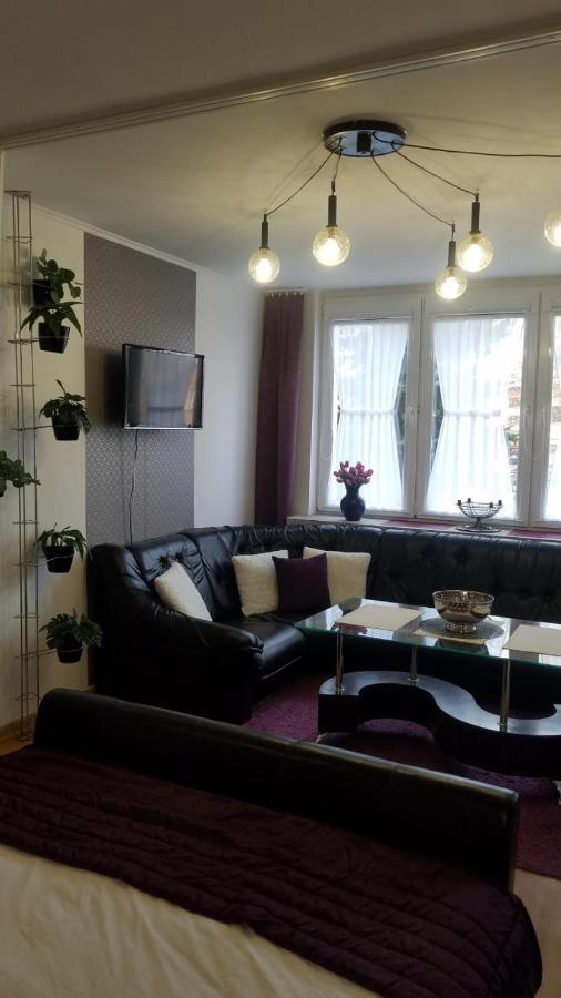 Apartament Zamosc Fiolet מראה חיצוני תמונה