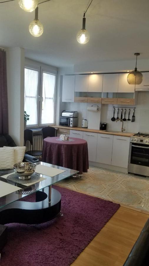 Apartament Zamosc Fiolet מראה חיצוני תמונה
